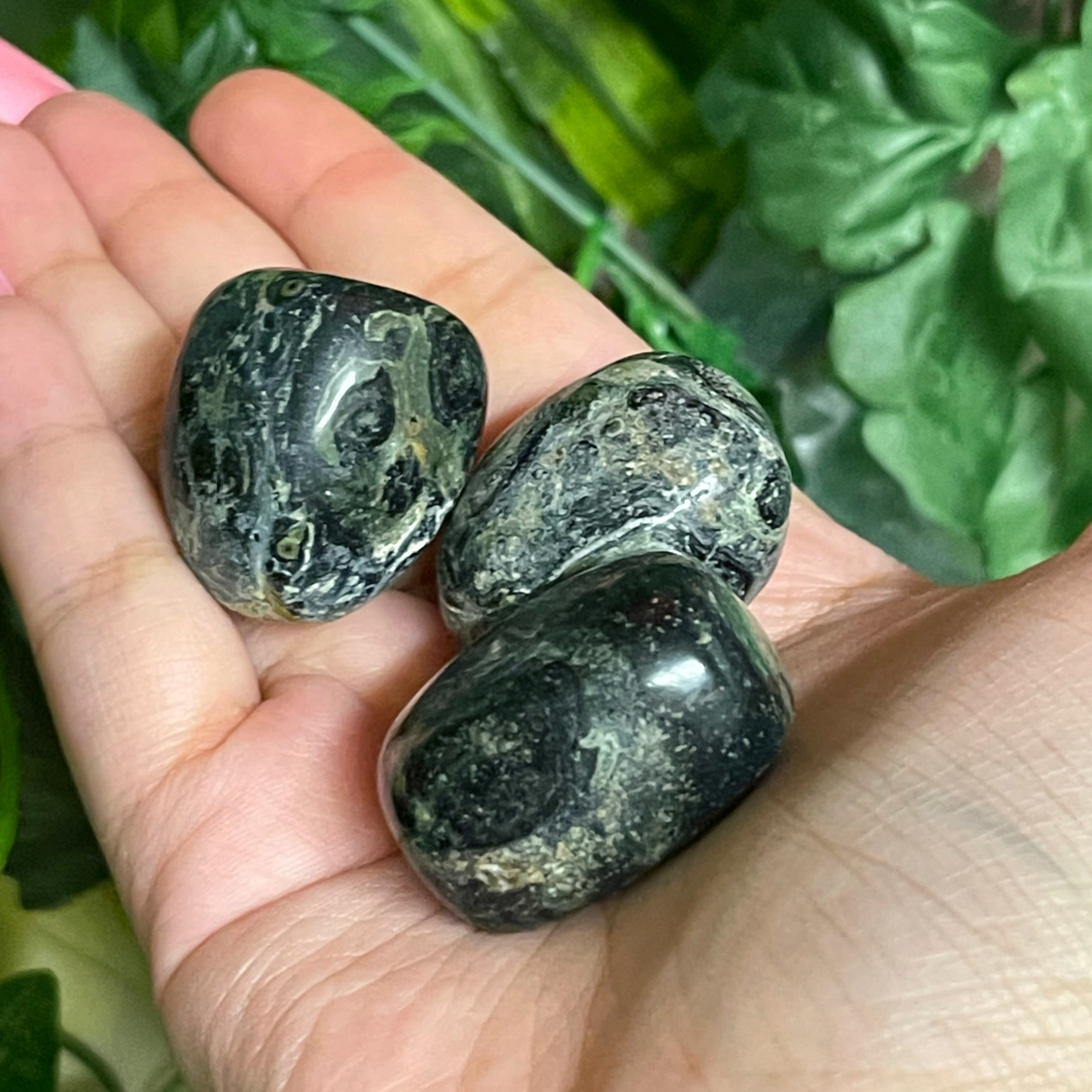 Kambaba Jasper Pocket Stone - The Tarot Hole