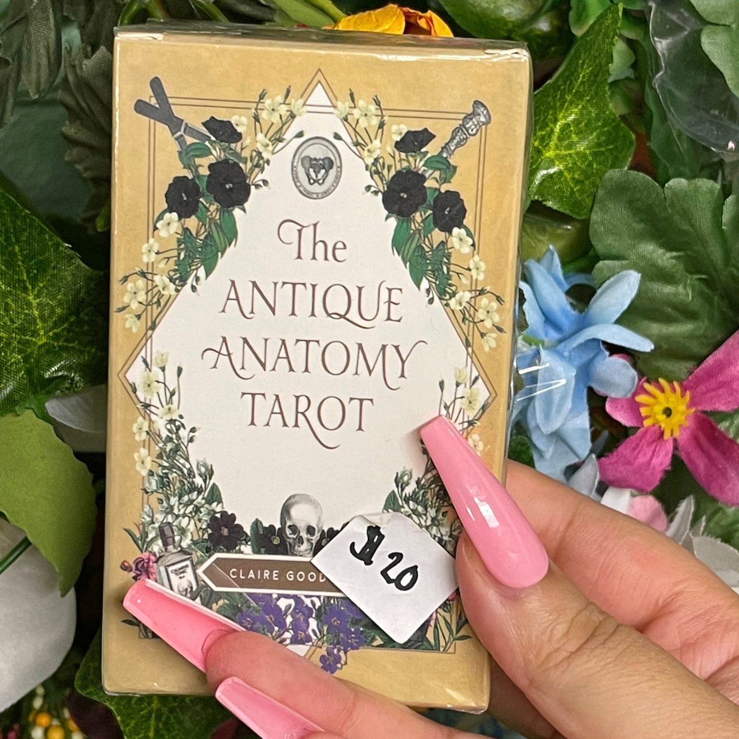The Antique Anatomy Tarot - The Tarot Hole