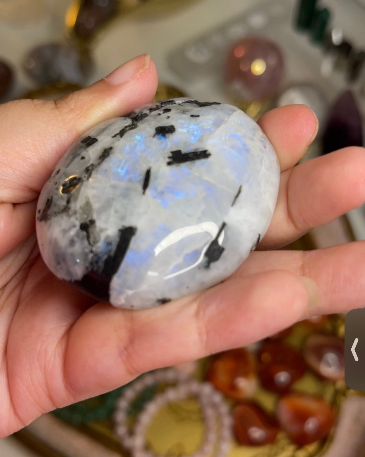 HQ Rainbow Moonstone Palm